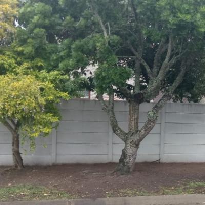 Afford A Crete Walls Pe